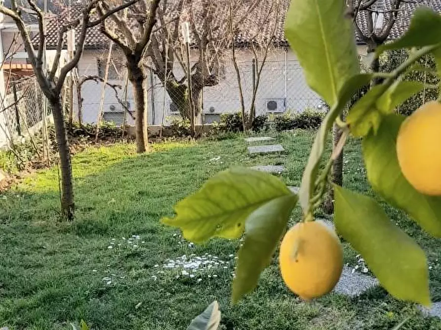 Immagine 1 di Terratetto in vendita  a Carmignano