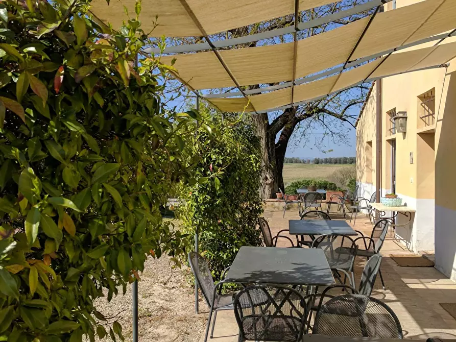 Immagine 9 di Agriturismo in vendita  a Castelfiorentino