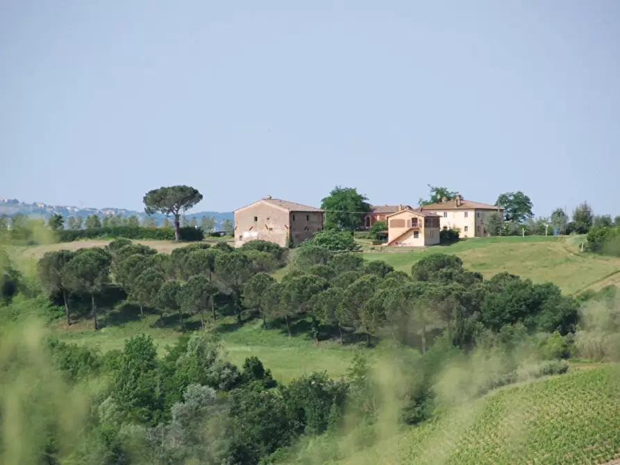 Immagine 25 di Agriturismo in vendita  a Castelfiorentino