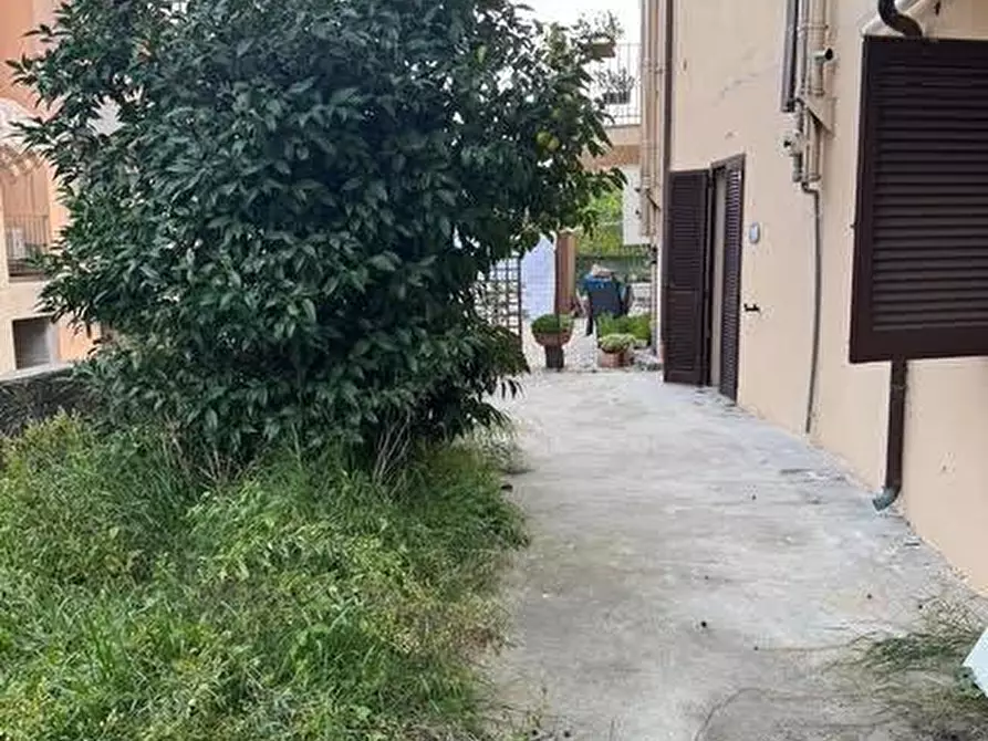 Immagine 11 di Appartamento in vendita  a Calci