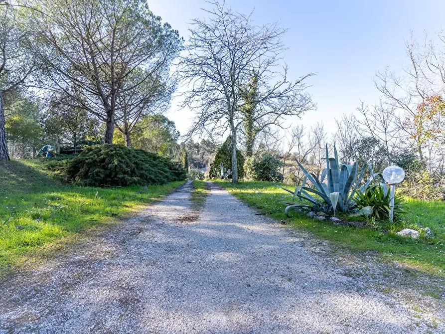 Immagine 37 di Villa in vendita  a San Miniato