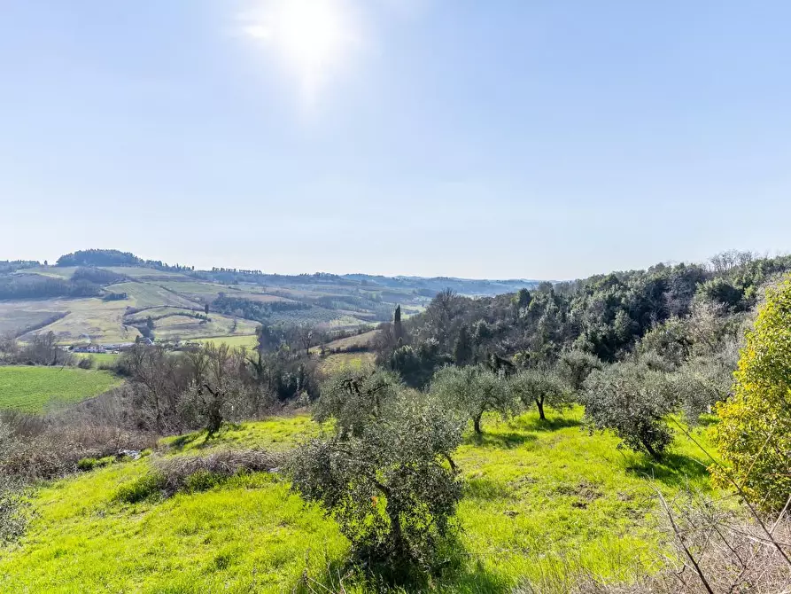 Immagine 41 di Villa in vendita  a San Miniato