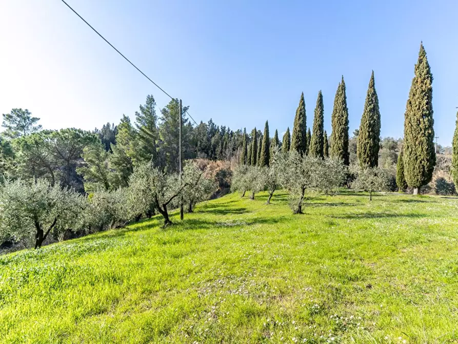 Immagine 39 di Villa in vendita  a San Miniato