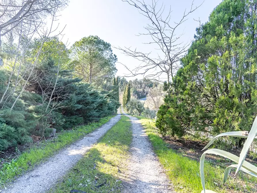 Immagine 38 di Villa in vendita  a San Miniato