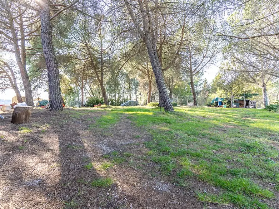 Immagine 42 di Villa in vendita  a San Miniato