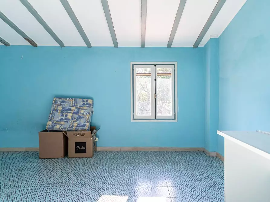 Immagine 25 di Villa in vendita  a San Miniato