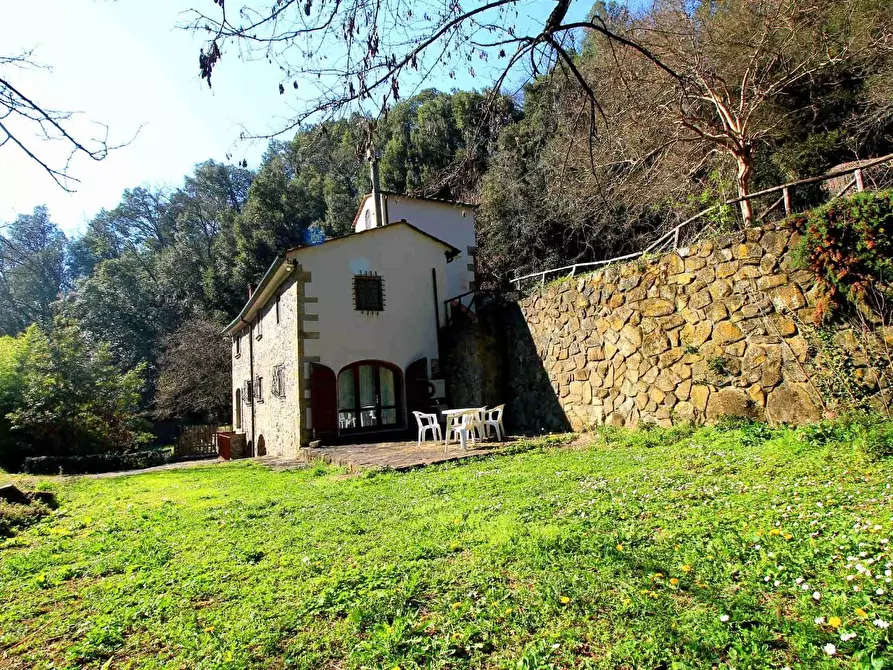 Immagine 16 di Casa colonica in vendita  a Vinci