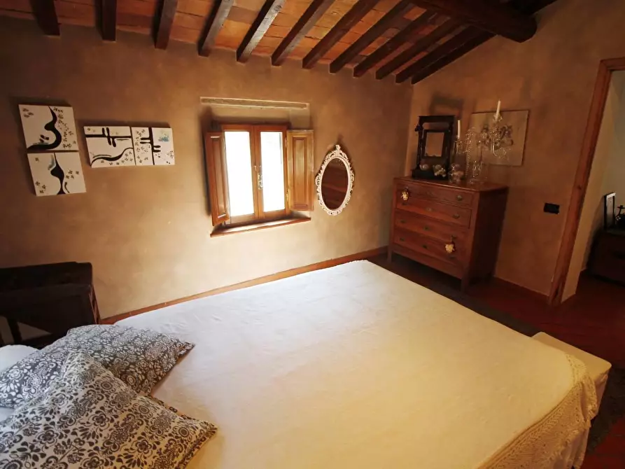 Immagine 5 di Casa colonica in vendita  a Vinci