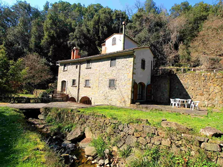 Immagine 15 di Casa colonica in vendita  a Vinci