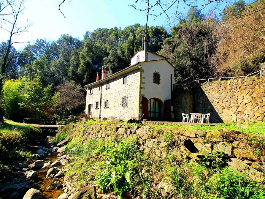 Immagine 17 di Casa colonica in vendita  a Vinci