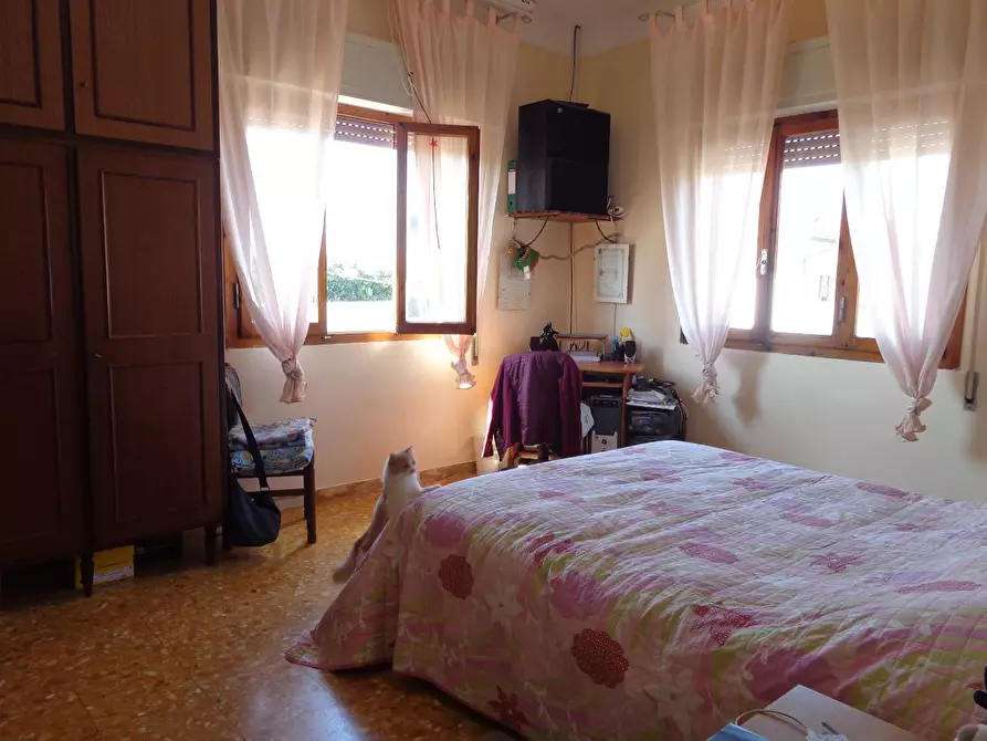 Immagine 3 di Appartamento in vendita  a Pietrasanta