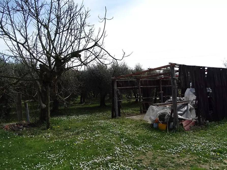 Immagine 21 di Porzione di casa in vendita  a San Miniato