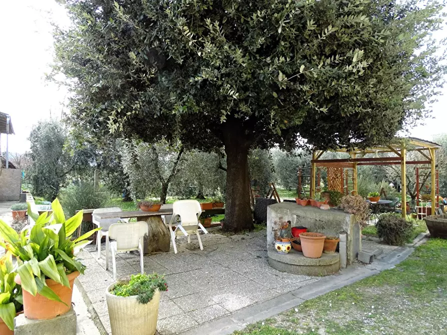 Immagine 23 di Porzione di casa in vendita  a San Miniato