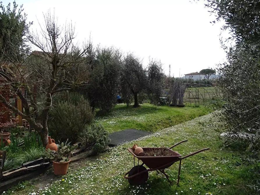 Immagine 22 di Porzione di casa in vendita  a San Miniato