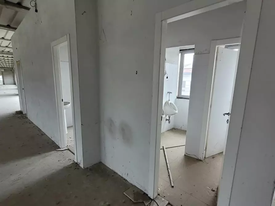 Immagine 24 di Attività artigianale in affitto  a Capannori