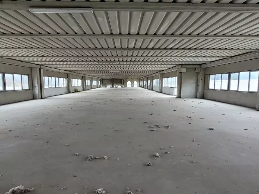 Immagine 22 di Attività artigianale in affitto  a Capannori