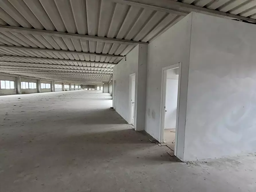 Immagine 23 di Attività artigianale in affitto  a Capannori