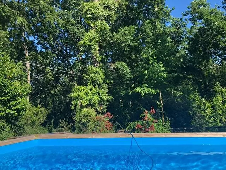 Immagine 17 di Villa in vendita  a Sovicille