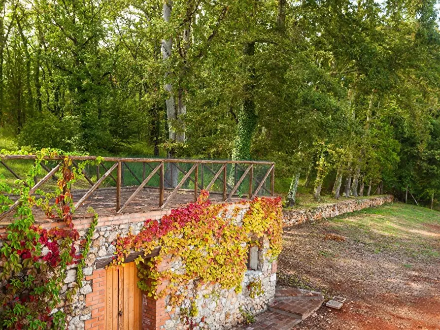 Immagine 18 di Villa in vendita  a Sovicille