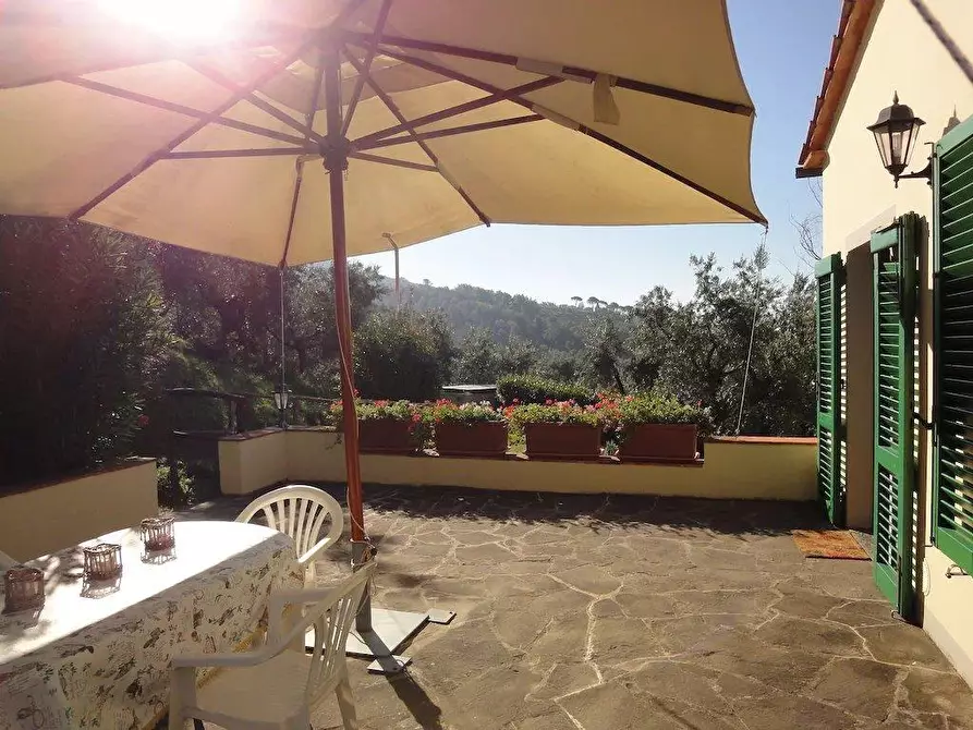 Immagine 21 di Casa colonica in vendita  a Lamporecchio