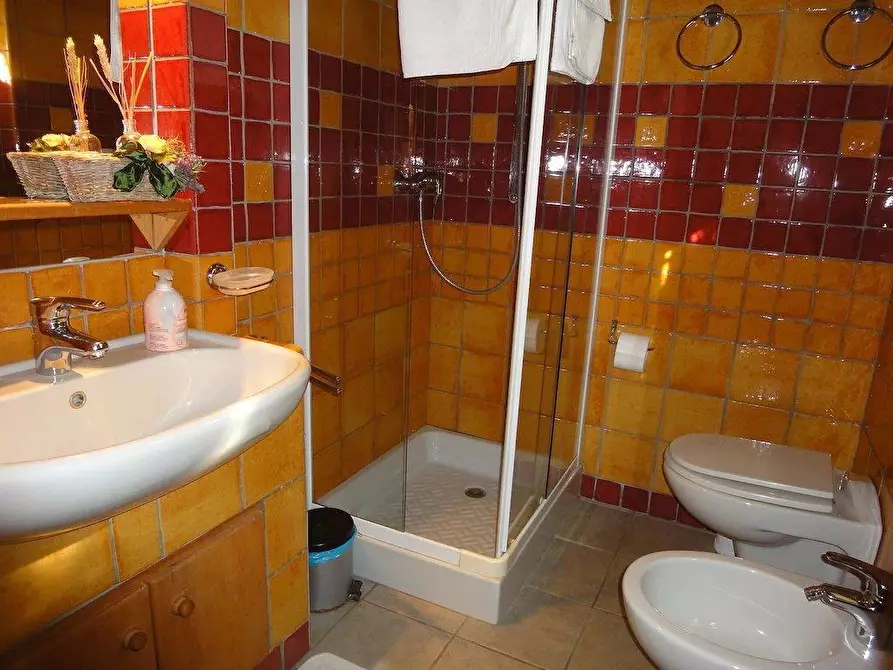 Immagine 12 di Casa colonica in vendita  a Lamporecchio