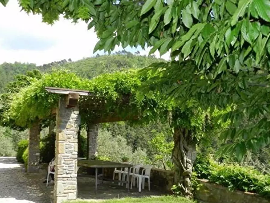 Immagine 23 di Casa colonica in vendita  a Lamporecchio