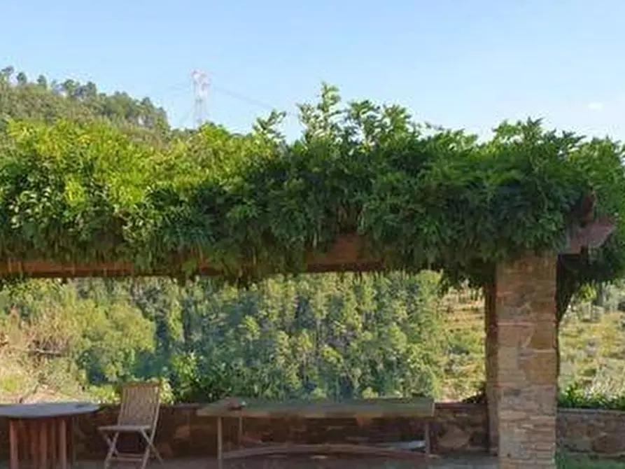 Immagine 22 di Casa colonica in vendita  a Lamporecchio