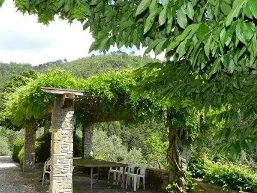 Immagine 20 di Casa colonica in vendita  a Lamporecchio