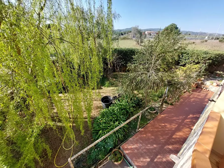 Immagine 18 di Appartamento in vendita  a Rosignano Marittimo