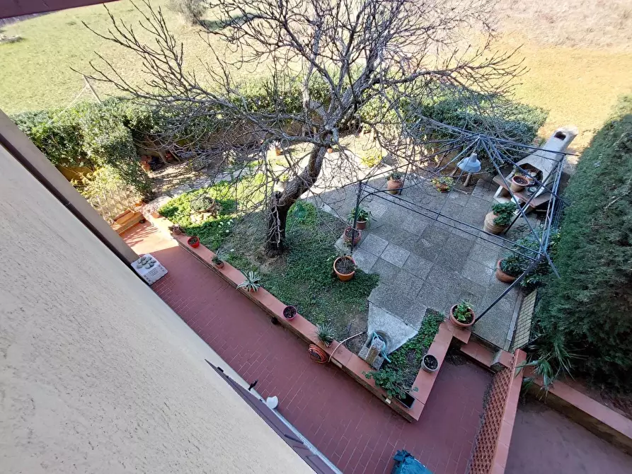 Immagine 19 di Appartamento in vendita  a Rosignano Marittimo