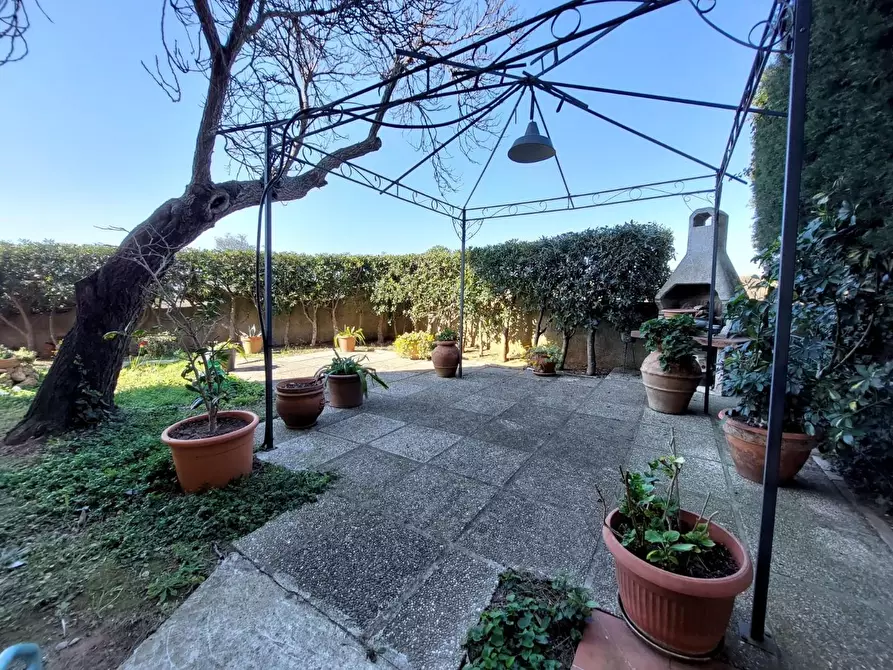 Immagine 15 di Appartamento in vendita  a Rosignano Marittimo