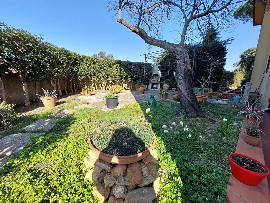 Immagine 14 di Appartamento in vendita  a Rosignano Marittimo