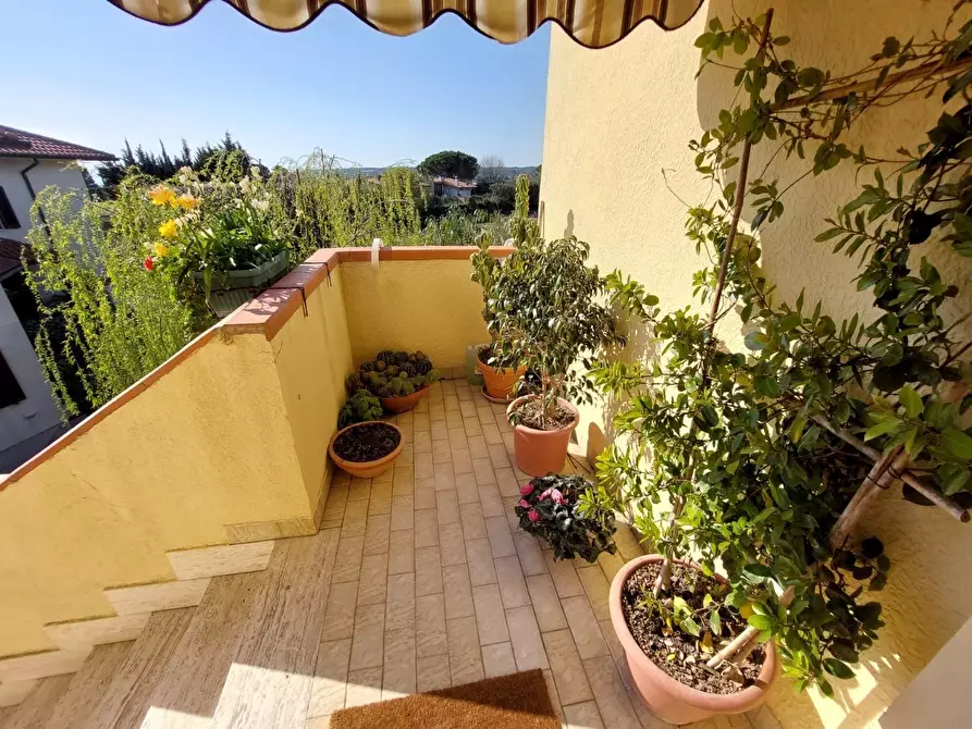 Immagine 13 di Appartamento in vendita  a Rosignano Marittimo