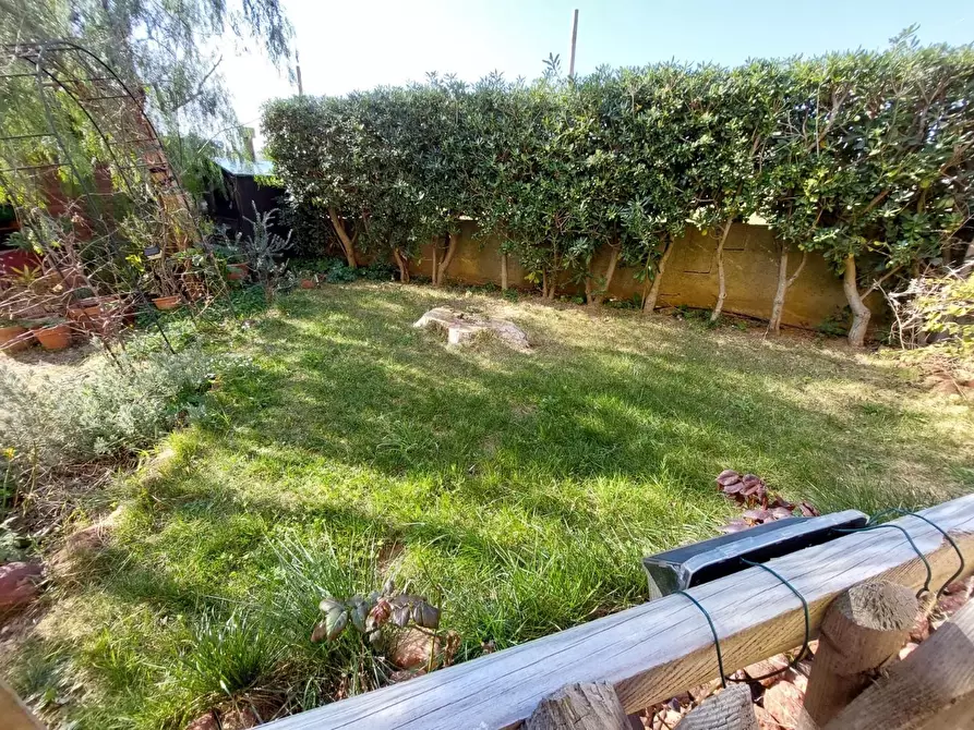 Immagine 17 di Appartamento in vendita  a Rosignano Marittimo