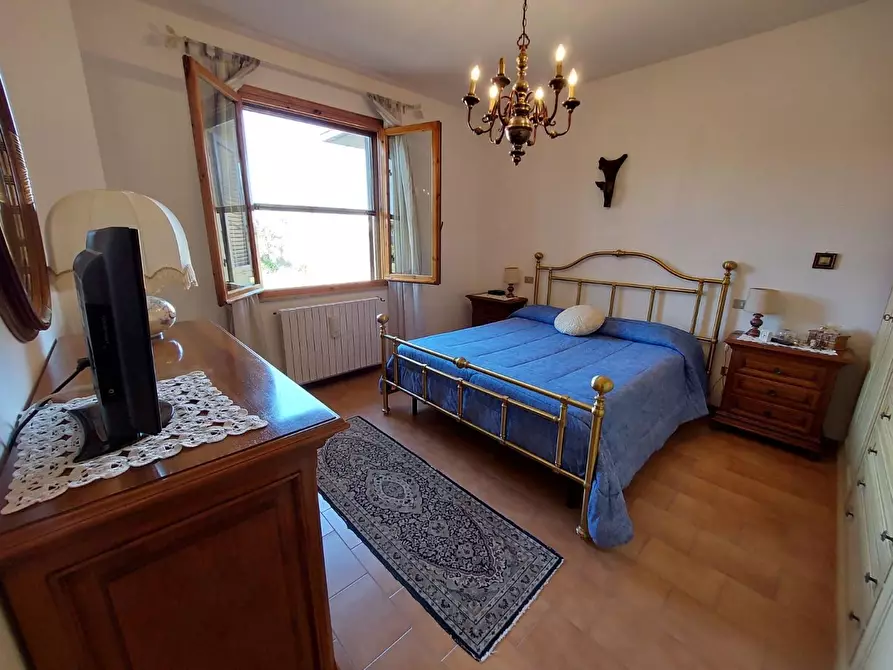 Immagine 7 di Appartamento in vendita  a Rosignano Marittimo