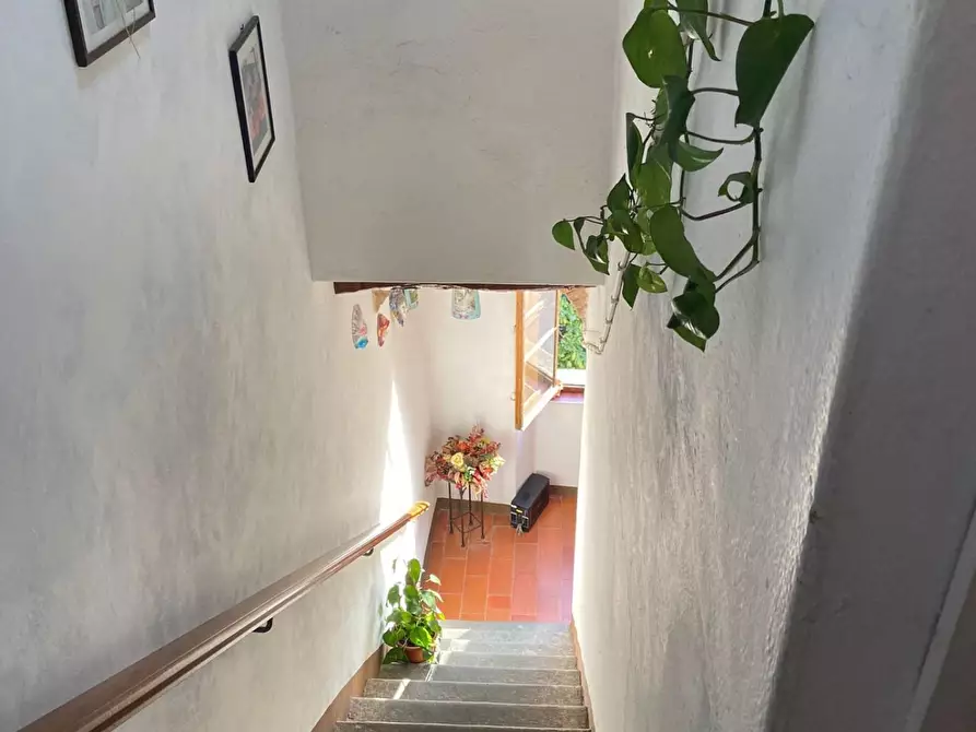 Immagine 32 di Palazzo in vendita  a Calci