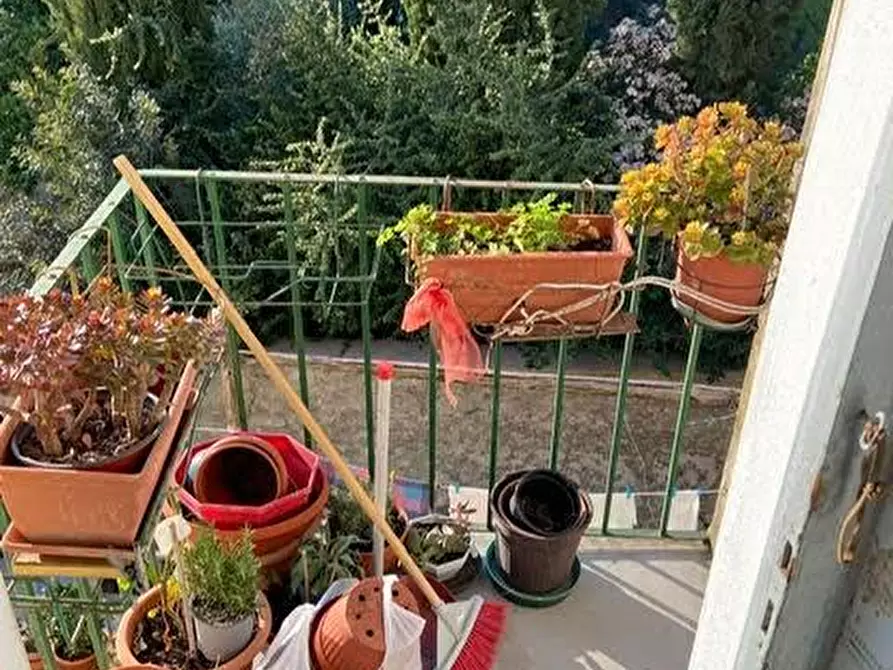 Immagine 22 di Palazzo in vendita  a Calci