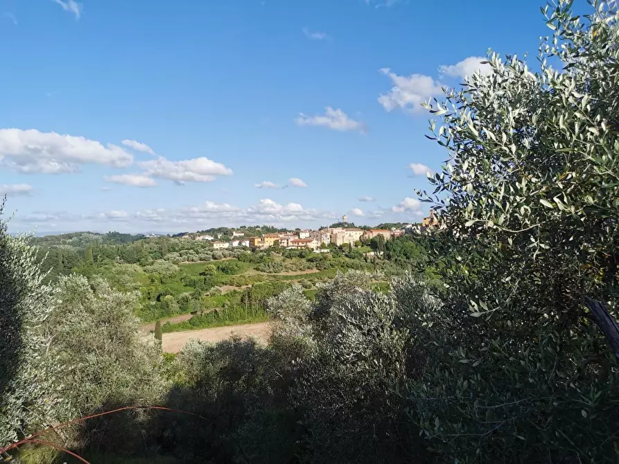 Immagine 4 di Terratetto in vendita  a Casciana Terme Lari