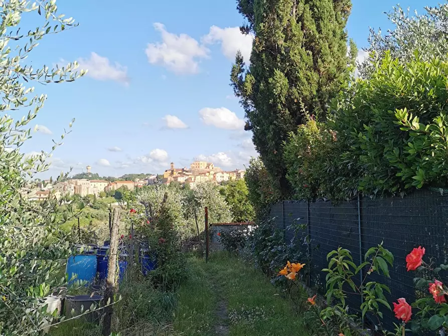 Immagine 3 di Terratetto in vendita  a Casciana Terme Lari
