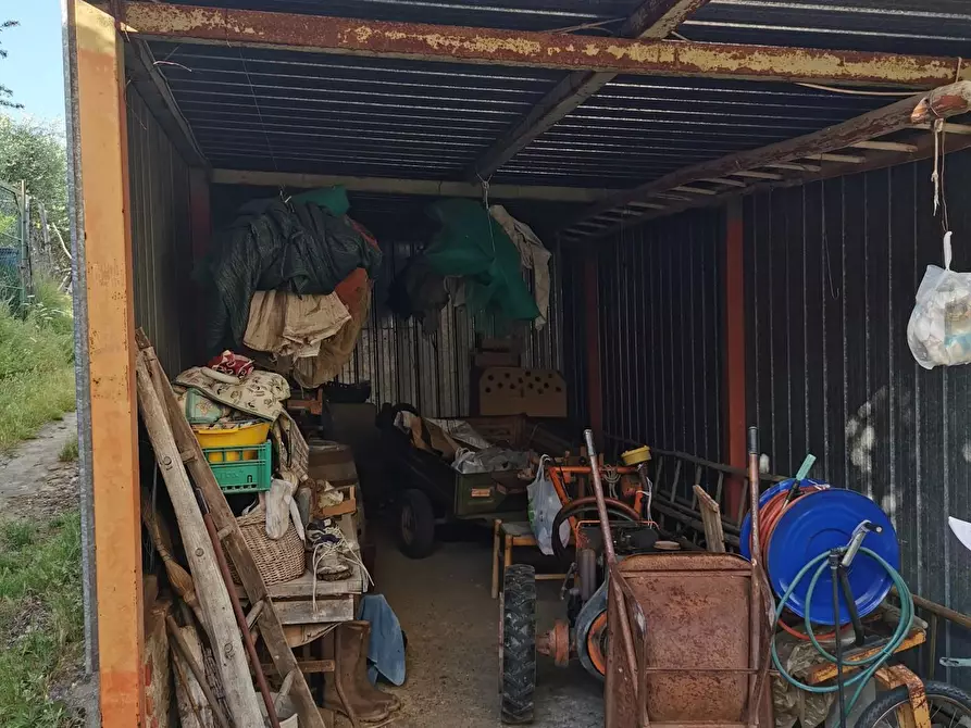 Immagine 24 di Terratetto in vendita  a Casciana Terme Lari