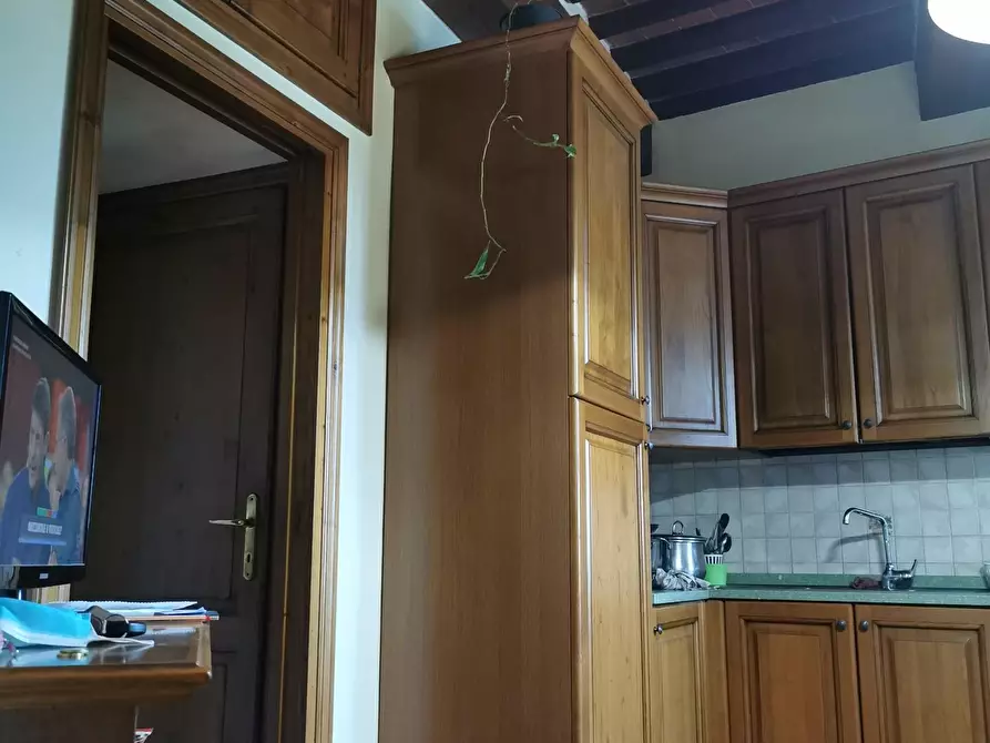 Immagine 12 di Terratetto in vendita  a Casciana Terme Lari