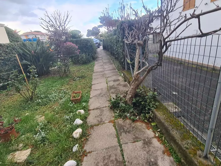 Immagine 12 di Appartamento in affitto  a Rosignano Marittimo