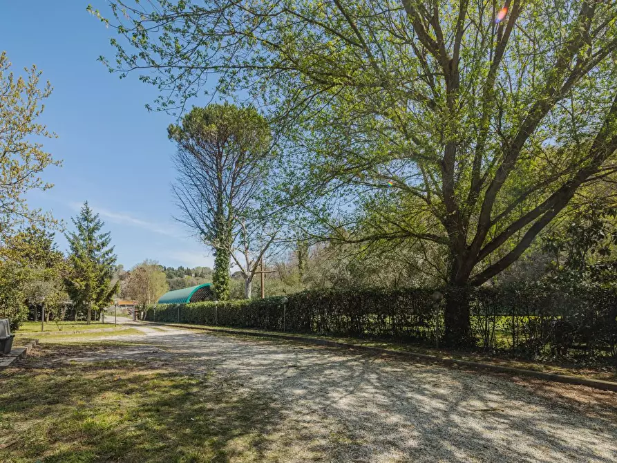 Immagine 24 di Casa indipendente in vendita  a Casciana Terme Lari