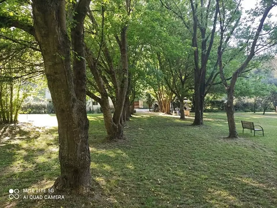 Immagine 36 di Casa indipendente in vendita  a Casciana Terme Lari