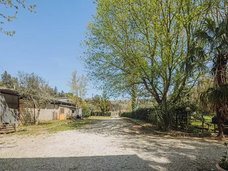 Immagine 32 di Casa indipendente in vendita  a Casciana Terme Lari