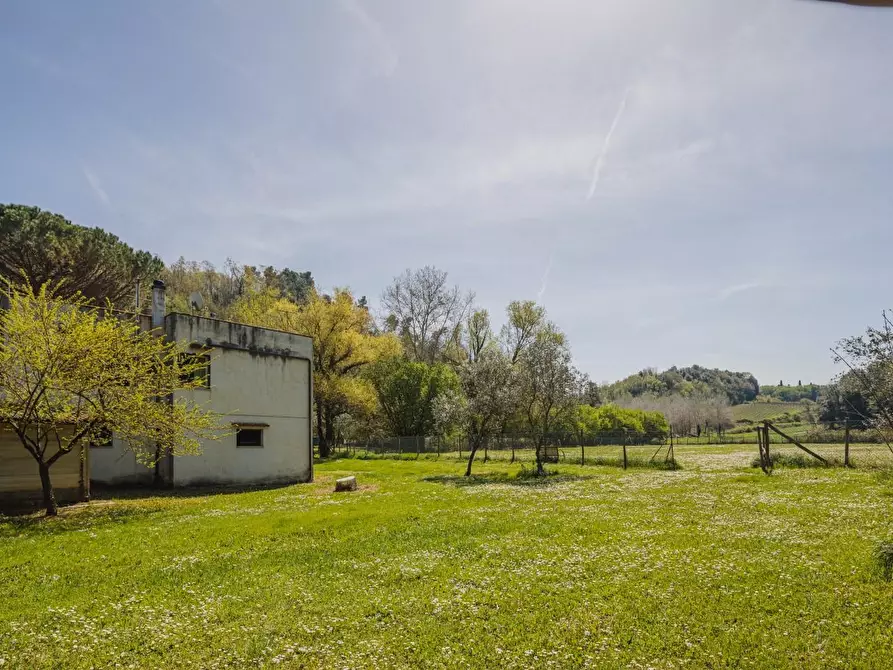 Immagine 29 di Casa indipendente in vendita  a Casciana Terme Lari