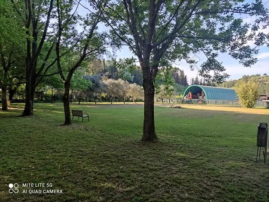 Immagine 20 di Casa indipendente in vendita  a Casciana Terme Lari