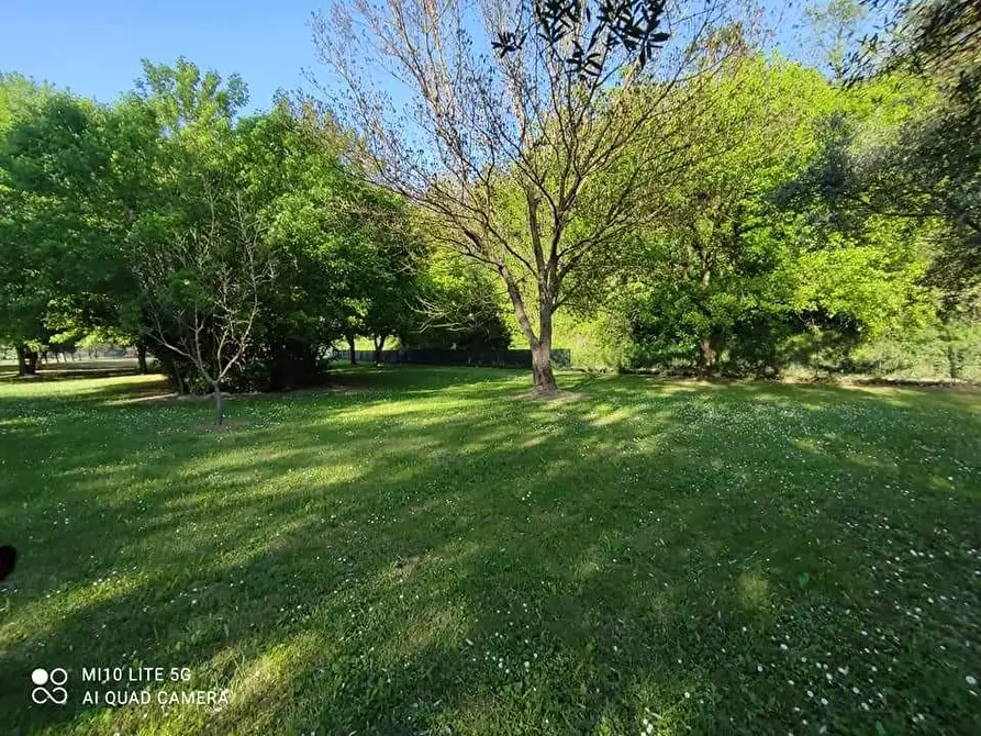 Immagine 31 di Casa indipendente in vendita  a Casciana Terme Lari