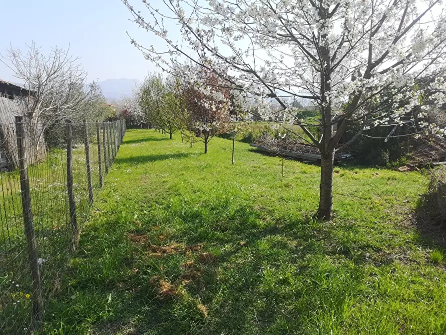 Immagine 3 di Terratetto in vendita  a Ameglia