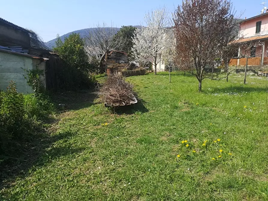Immagine 2 di Terratetto in vendita  a Ameglia